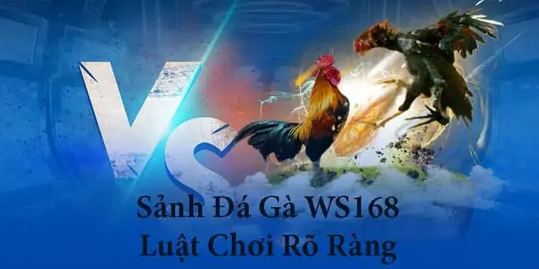 Cách Chơi Đá Gà WS168 IWin Club Chi Tiết Với Mẹo Soi Kèo Và Quản Lý Vốn