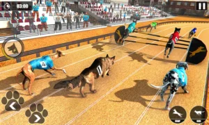 Cách Chơi Game Nhanh Đua Chó Iwin Club Tối Ưu Cược Và Tăng Tỷ Lệ Thắng